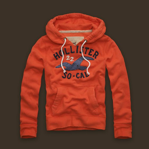 Hollister Hombres Outlet Capucha HCO4597
